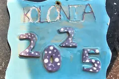 20250815_113253